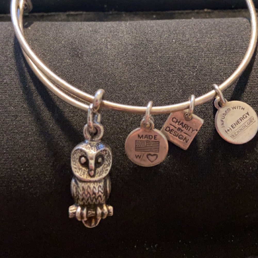 Alex and Ani Owl 🦉